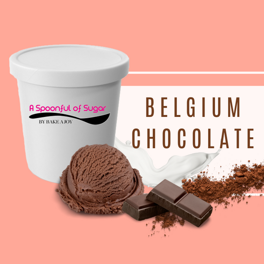 Belgium Chocolate Classic ice cream pint